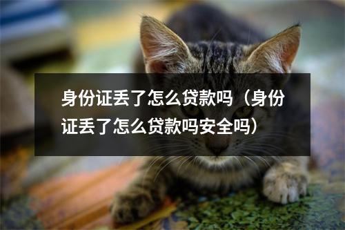 身份证丢了怎么贷款吗(身份证丢了怎么贷款吗安全吗)