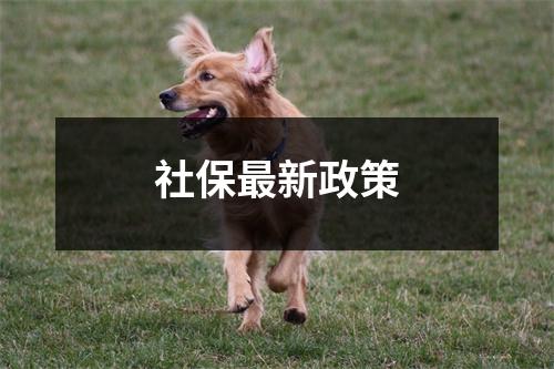 社保最新政策