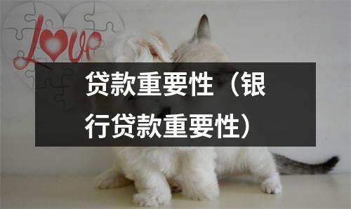 贷款重要性（银行贷款重要性）