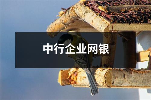 中行企业网银
