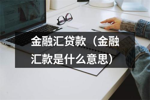 金融汇贷款（金融汇款是什么意思）