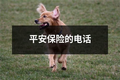 平安保险的电话