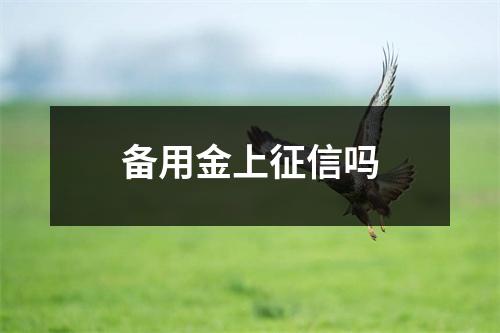 备用金上征信吗