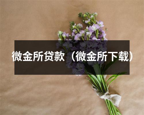 微金所贷款(微金所下载)