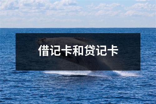 借记卡和贷记卡