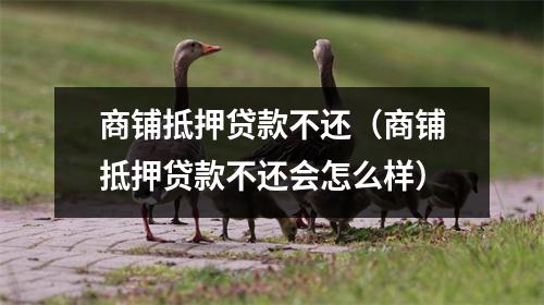 商铺抵押贷款不还(商铺抵押贷款不还会怎么样)