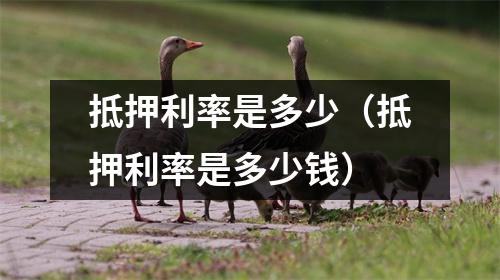 抵押利率是多少(抵押利率是多少钱)