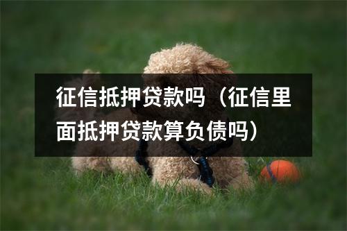 征信抵押贷款吗（征信里面抵押贷款算负债吗）