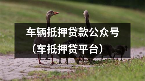 车辆抵押贷款公众号（车抵押贷平台）