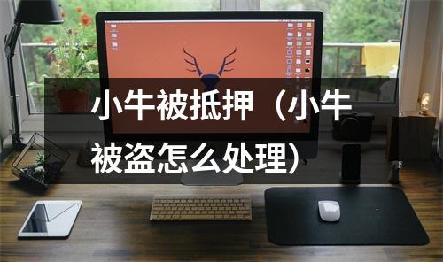 小牛被抵押（小牛被盗怎么处理）