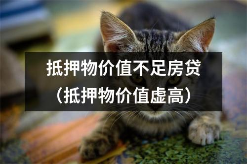 抵押物价值不足房贷(抵押物价值虚高)