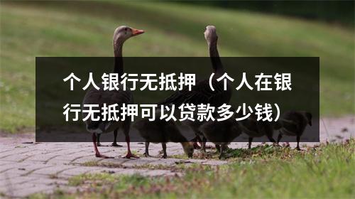 个人银行无抵押（个人在银行无抵押可以贷款多少钱）