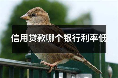 信用贷款哪个银行利率低