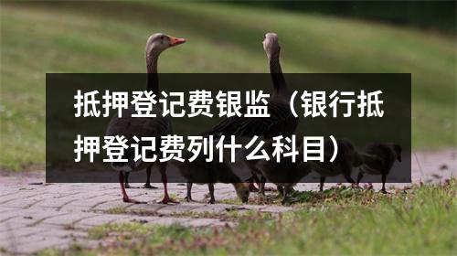 抵押登记费银监（银行抵押登记费列什么科目）