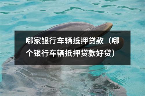 哪家银行车辆抵押贷款（哪个银行车辆抵押贷款好贷）