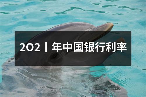 2O2丨年中国银行利率