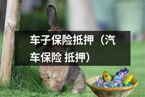 车子保险抵押(汽车保险 抵押)