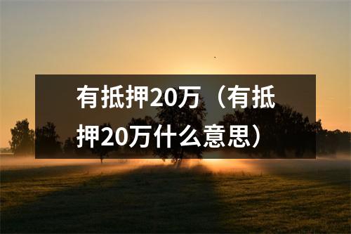 有抵押20万(有抵押20万什么意思)