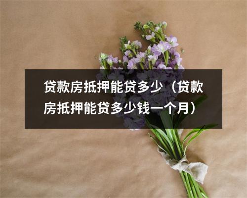 贷款房抵押能贷多少（贷款房抵押能贷多少钱一个月）