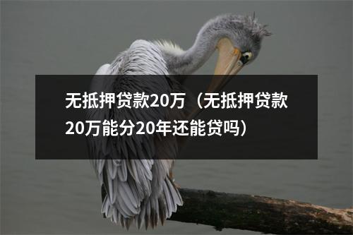 无抵押贷款20万（无抵押贷款20万能分20年还能贷吗）
