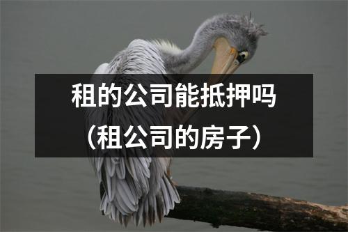 租的公司能抵押吗（租公司的房子）