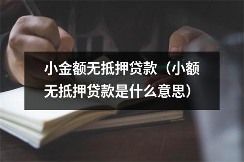 小金额无抵押贷款（小额无抵押贷款是什么意思）