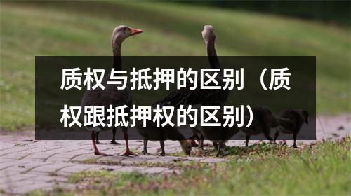 质权与抵押的区别（质权跟抵押权的区别）