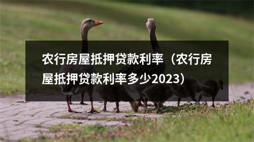 农行房屋抵押贷款利率（农行房屋抵押贷款利率多少2023）