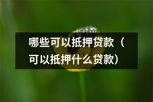 哪些可以抵押贷款（可以抵押什么贷款）