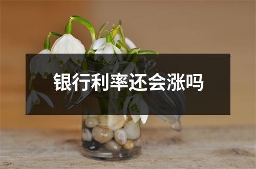 银行利率还会涨吗
