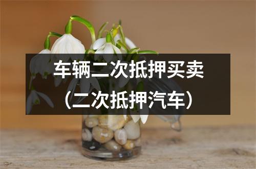 车辆二次抵押买卖（二次抵押汽车）