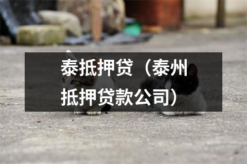 泰抵押贷（泰州抵押贷款公司）