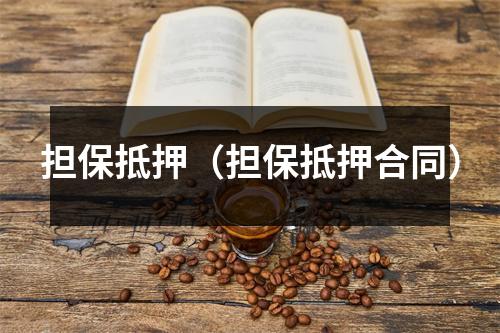 担保抵押（担保抵押合同）