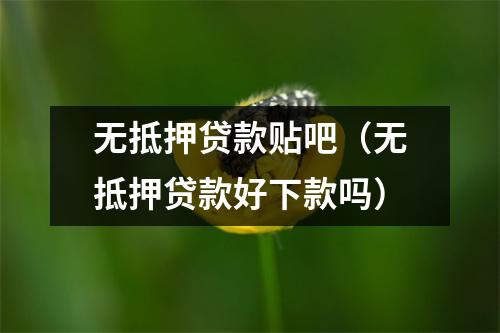 无抵押贷款贴吧（无抵押贷款好下款吗）