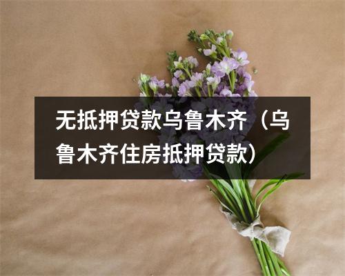 无抵押贷款乌鲁木齐（乌鲁木齐住房抵押贷款）