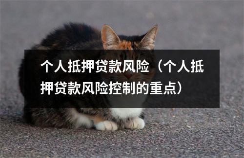 个人抵押贷款风险（个人抵押贷款风险控制的重点）