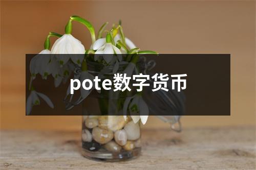 pote数字货币