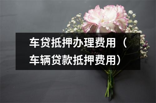 车贷抵押办理费用（车辆贷款抵押费用）