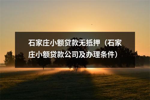 石家庄小额贷款无抵押（石家庄小额贷款公司及办理条件）