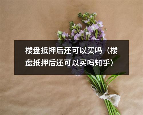 楼盘抵押后还可以买吗（楼盘抵押后还可以买吗知乎）