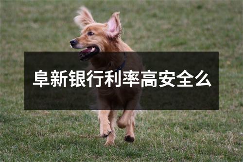 阜新银行利率高安全么