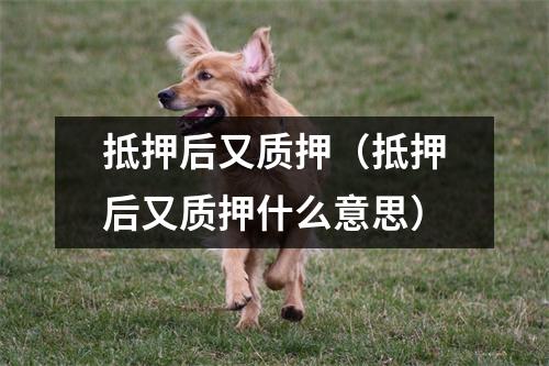 抵押后又质押（抵押后又质押什么意思）