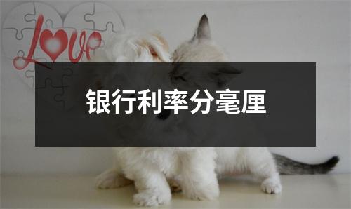 银行利率分毫厘