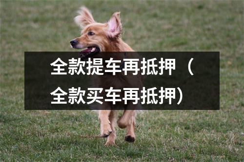全款提车再抵押（全款买车再抵押）