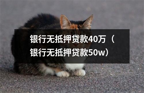 银行无抵押贷款40万（银行无抵押贷款50w）