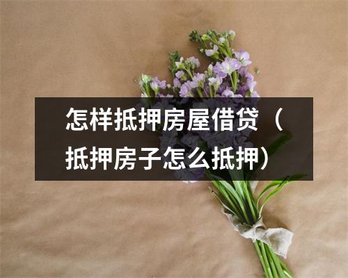 怎样抵押房屋借贷（抵押房子怎么抵押）