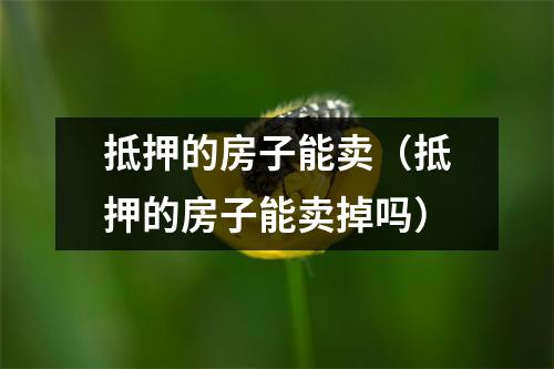 抵押的房子能卖（抵押的房子能卖掉吗）