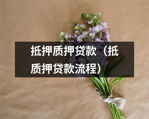 抵押质押贷款（抵质押贷款流程）