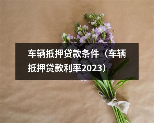 车辆抵押贷款条件（车辆抵押贷款利率2023）