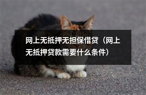 网上无抵押无担保借贷（网上无抵押贷款需要什么条件）
